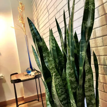 Apartman Casa Giuliani Perfect Place To By The *